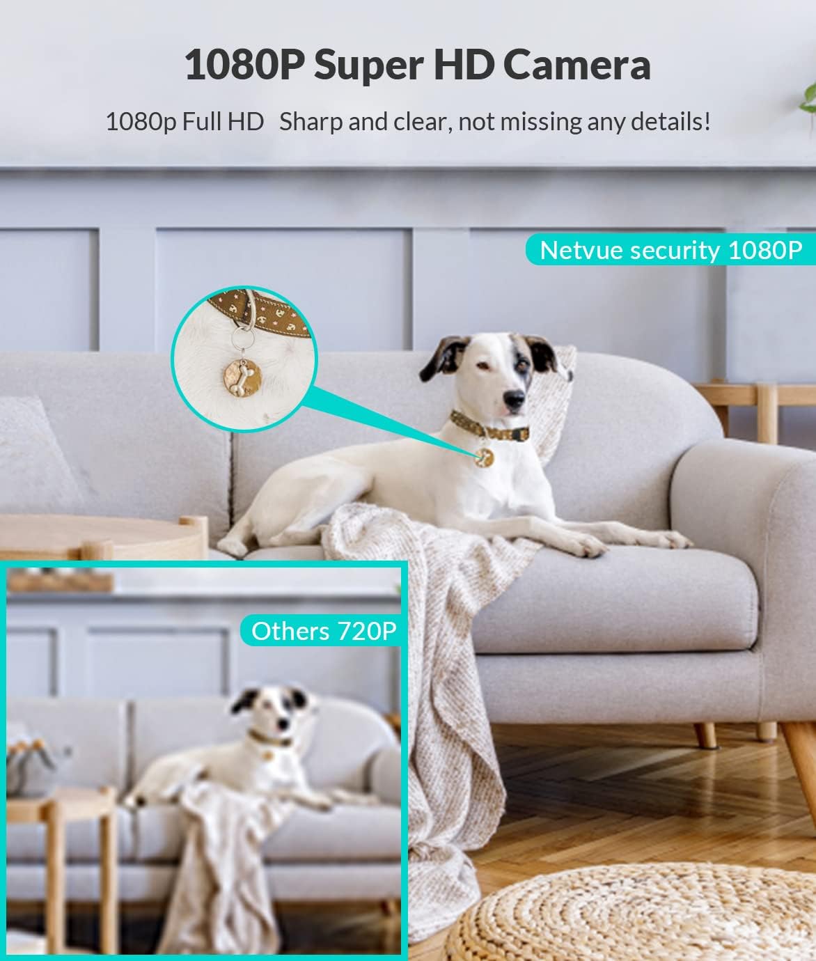 Pet Camera, 1080P FHD 2.4Ghz Wifi 