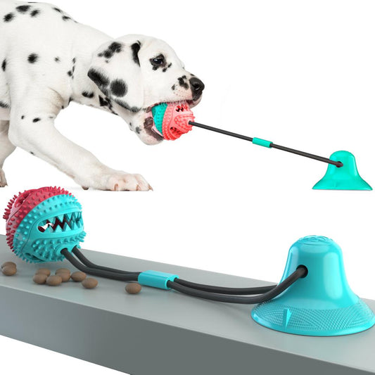 Molar Bite Interactive Dog Toy with Durable Rope 